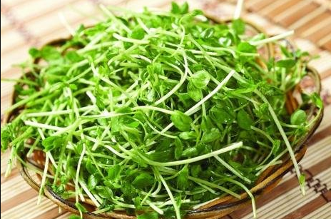 Sweet Pea Shoots: Organic Microgreen, 100 grams | Seed to Feed Co ...